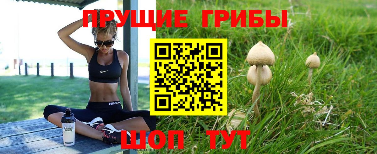 Псилоцибиновые грибы Cubensis  Псилоцибиновые грибы ЛСД  Северск  Вход с VPN 